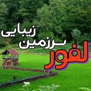 Логотип телеграм канала لفور سرزمین زیبایی